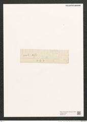 Navicula ovalis .... (de-Toni-Nr.: Genus 1, Species 298) Zeichnungen Sammlung Grunow (NHMW-BOT-W0367077)